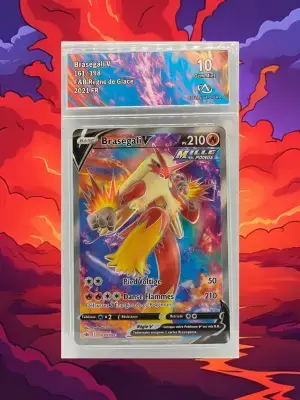 Brasegali v cre161 ca10