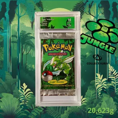 Jungle