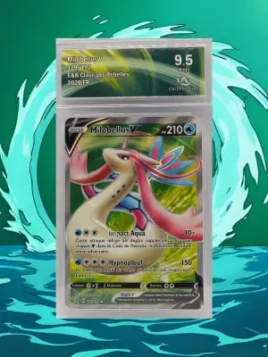 Milobellus v clash 179 ca9 5