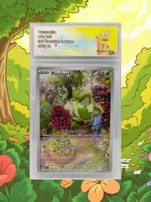 Poussacah pal196 ca9 5