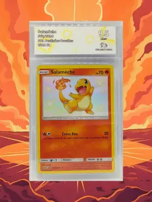 Salameche hifsv6 ca9 5