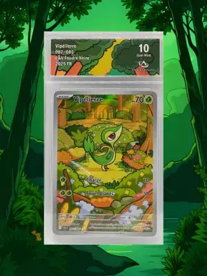 Vipeliere blk087 ca10 